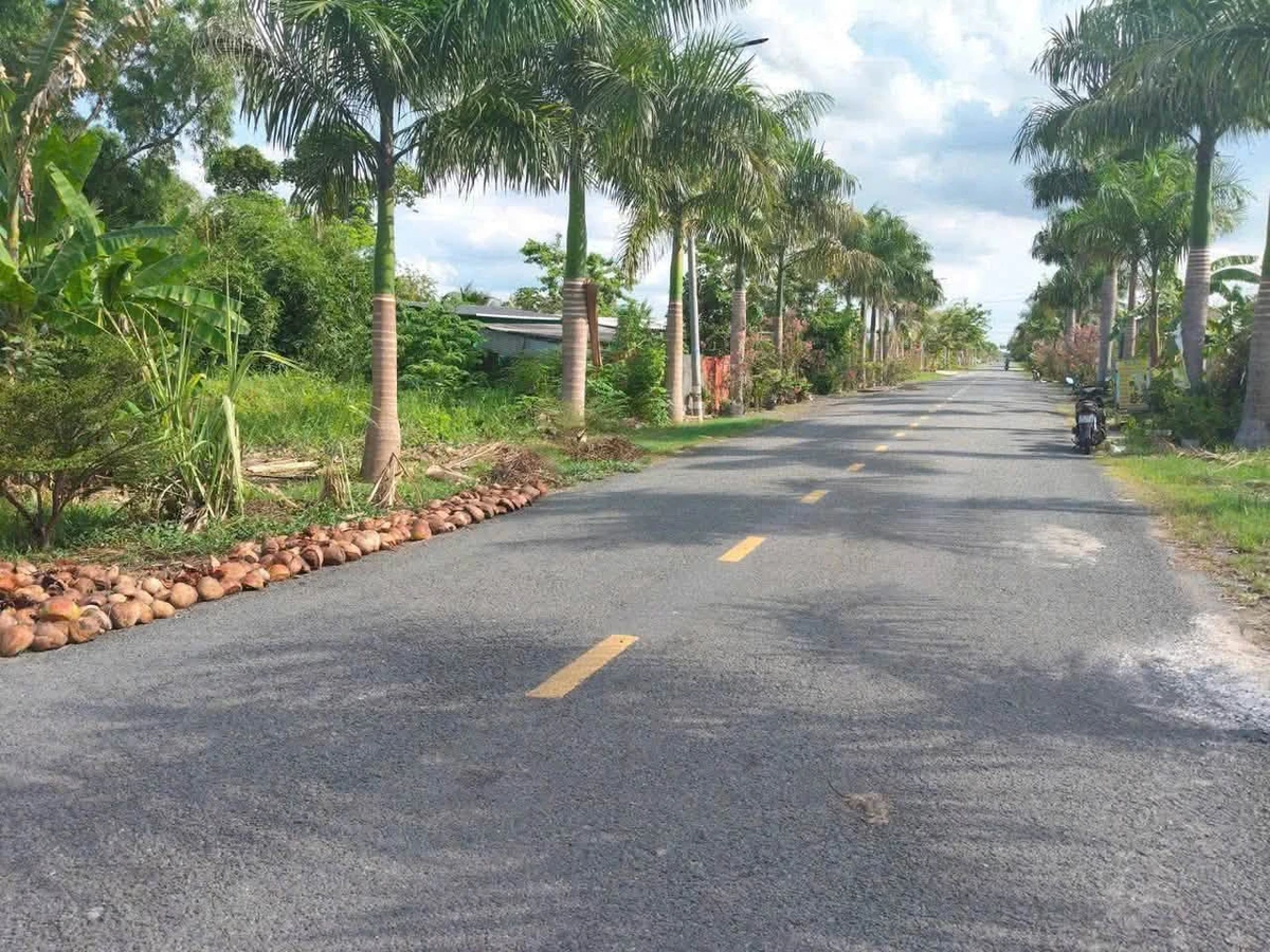Bán đất mặt tiền 459m² trung tâm Tân Trụ 4 tỷ - Ảnh thu nhỏ 3