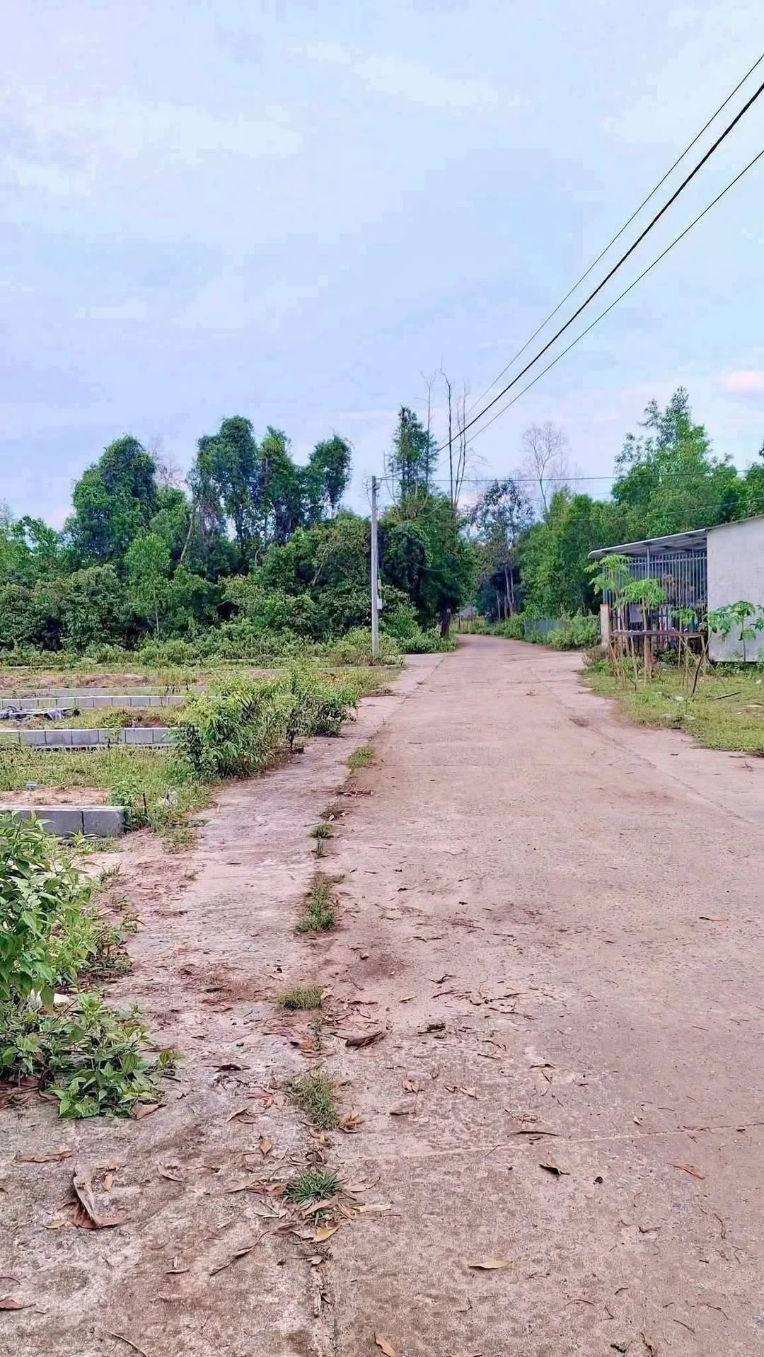 Bán đất full thổ cư 186m² Bến Tràm Phú Quốc 2 tỷ - Ảnh 1