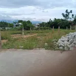 Bán đất thổ cư sổ riêng 137m2 Ninh Hải, Khánh Hòa - Ảnh thu nhỏ 2