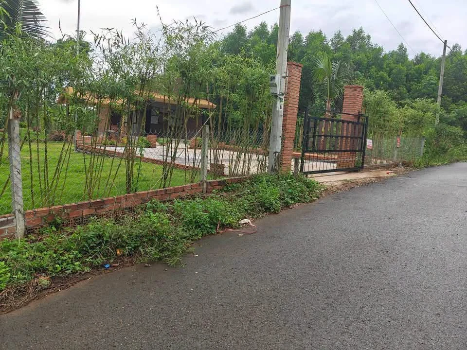 Bán đất vườn 555m² view đẹp Bàu Chính, Châu Đức 900 triệu - Ảnh thu nhỏ 2