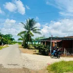 Bán đất 240m² 6x40m sổ hồng riêng Truông Mít Tây Ninh 330 triệu - Ảnh thu nhỏ 2