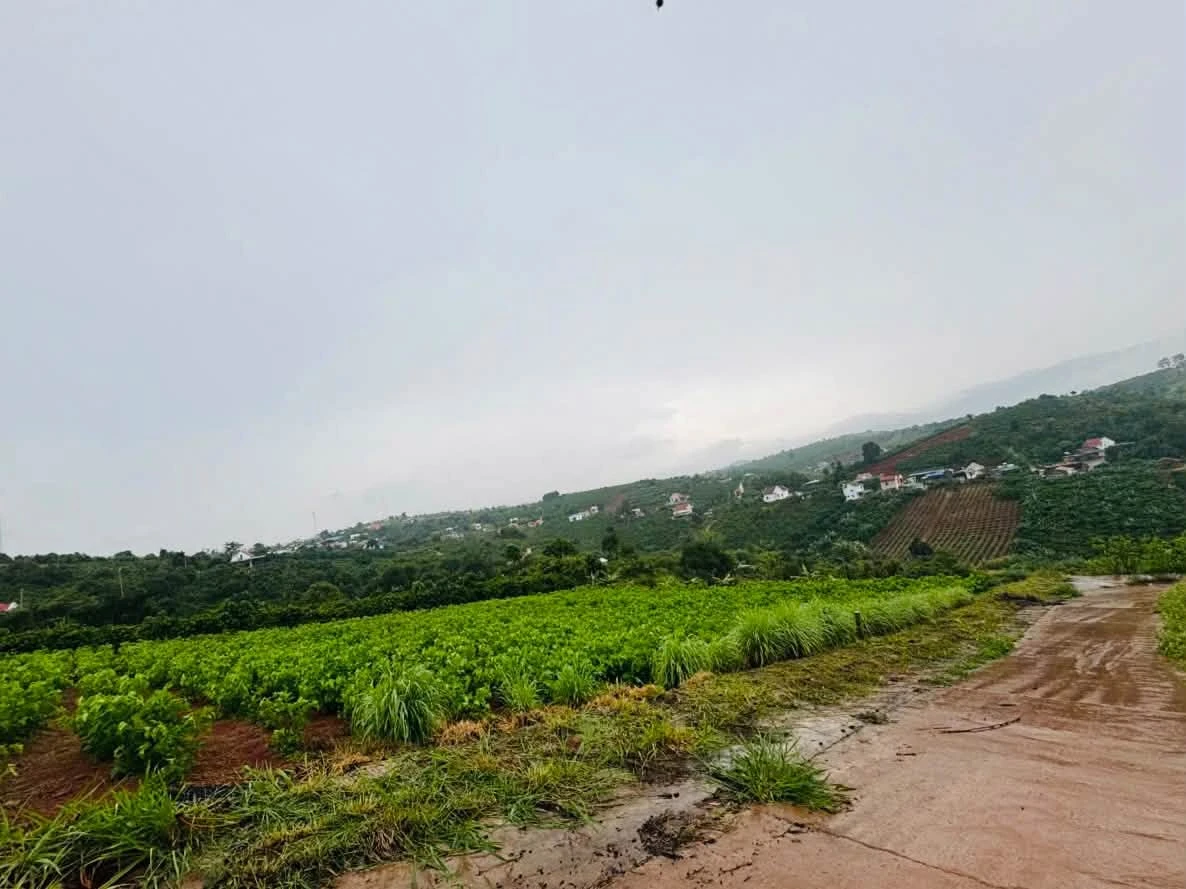 Đất view núi 690m2 ven Đà Lạt, Nam Ban Lâm Hà - Ảnh thu nhỏ 2