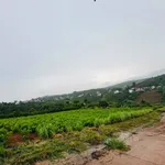 Đất view núi 690m2 ven Đà Lạt, Nam Ban Lâm Hà - Ảnh thu nhỏ 2