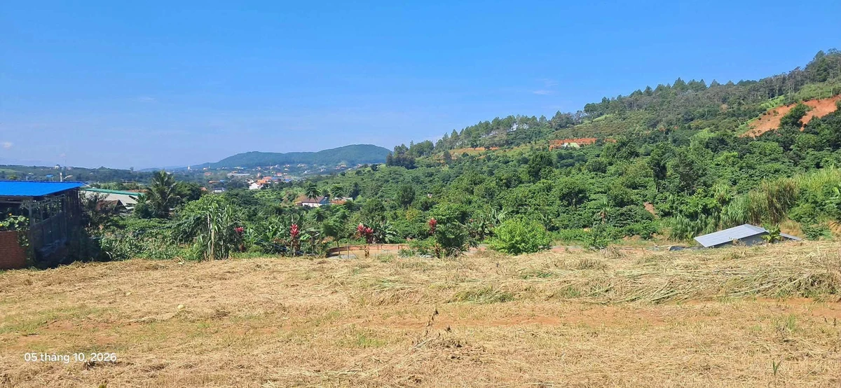Bán đất Lâm Hà 400m² view Phật Quan Âm 1,15 tỷ - Ảnh thu nhỏ 3