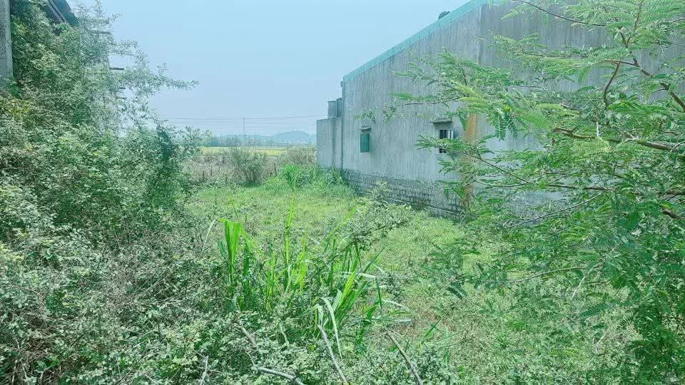 Bán lô đất Tuy Phước Bình Dương 120m² 390 triệu - Ảnh thu nhỏ 2