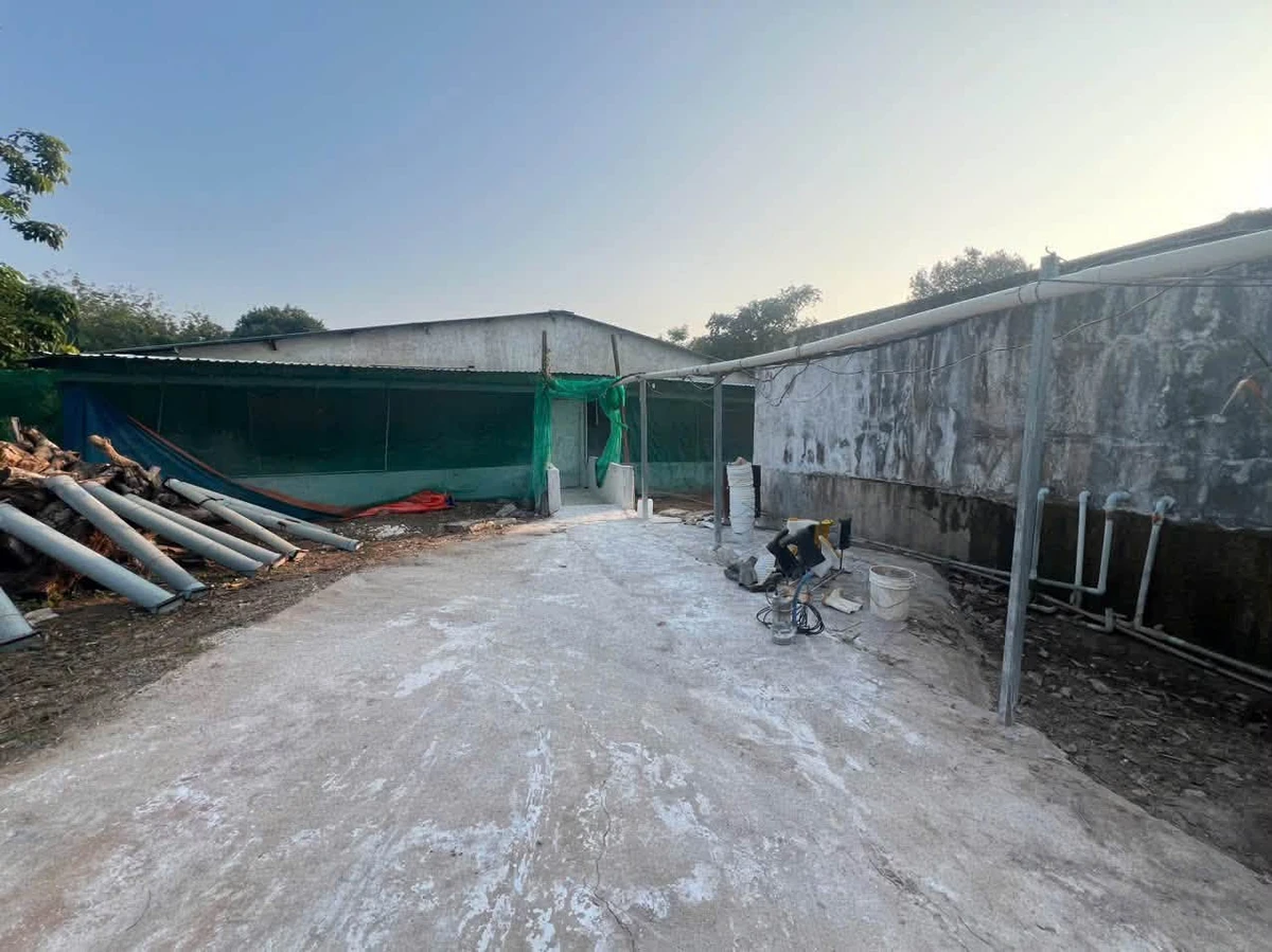 Cho thuê trại heo 2 ha Lộc Ninh Bình Phước 80 triệu/tháng - Ảnh thu nhỏ 5