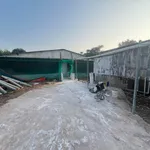 Cho thuê trại heo 2 ha Lộc Ninh Bình Phước 80 triệu/tháng - Ảnh thu nhỏ 5