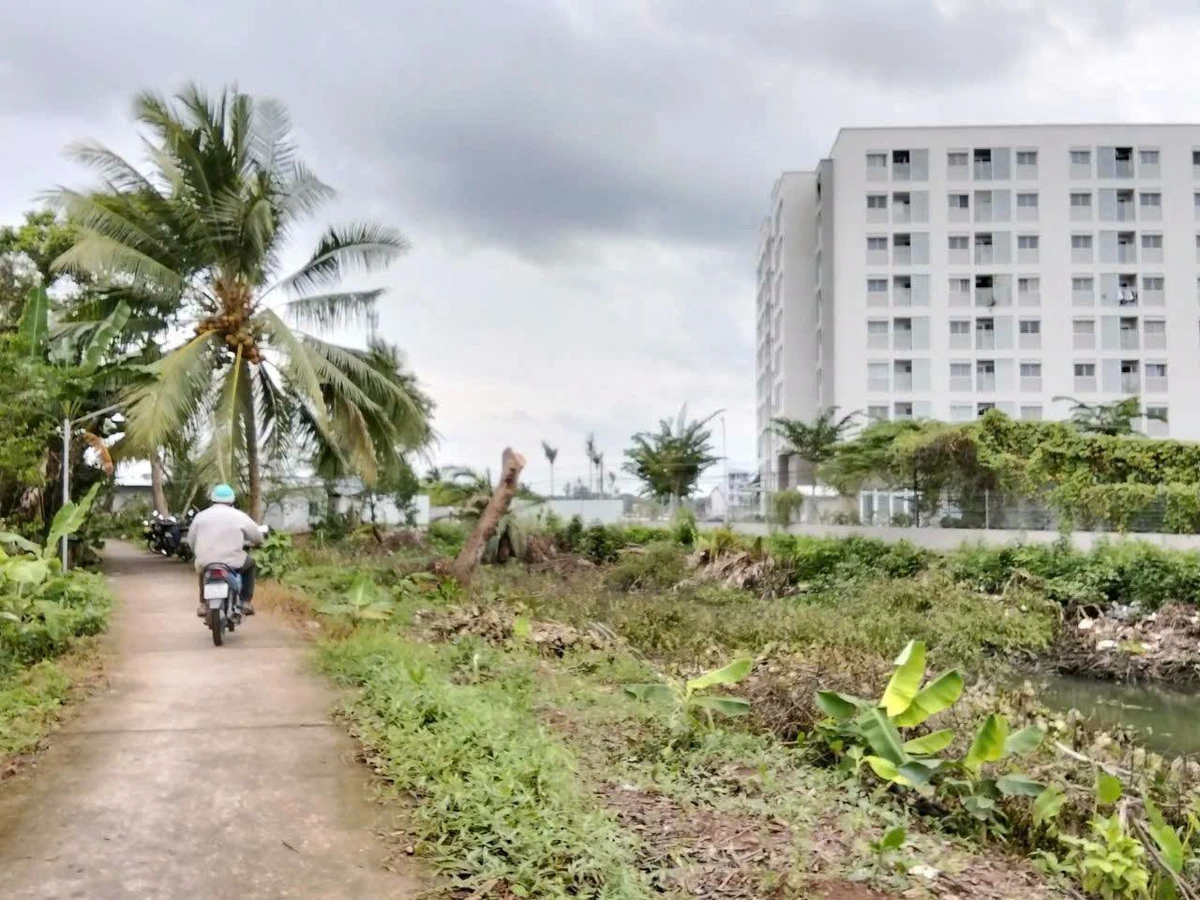 Bán đất 5 công sát KDC Nam Long, Bình Chánh, 3.500m² - Ảnh thu nhỏ 2