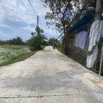 Bán đất mặt tiền Hóc Môn 340m², sổ hồng riêng 2.45 tỷ - Ảnh thu nhỏ 3