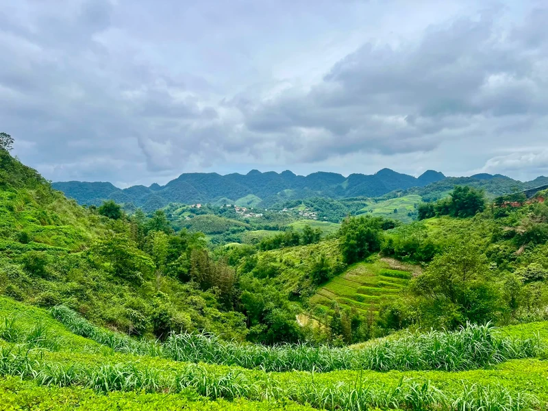 Bán đất nền Mai Châu 15.232 m² giá 200k/m² view săn mây
