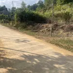 Bán đất Tân Lạc Hòa Bình 2000m² trồng bưởi 1,2 tỷ - Ảnh thu nhỏ 3