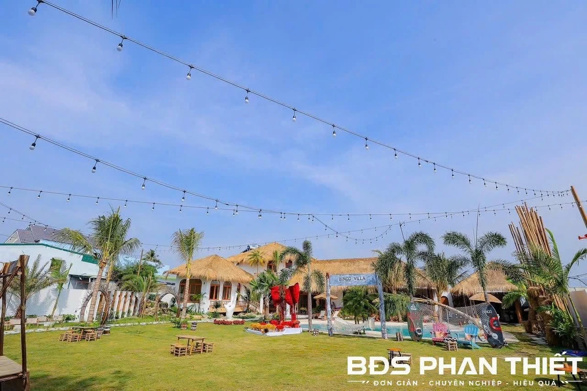 Bán đất ODT 1.063m² Phước Hội La Gi, 19,5 tỷ, 2 mặt tiền - Ảnh thu nhỏ 4
