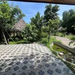 Nhà vườn Song Phương 1.500m² cho thuê 7 triệu/tháng - Ảnh thu nhỏ 1