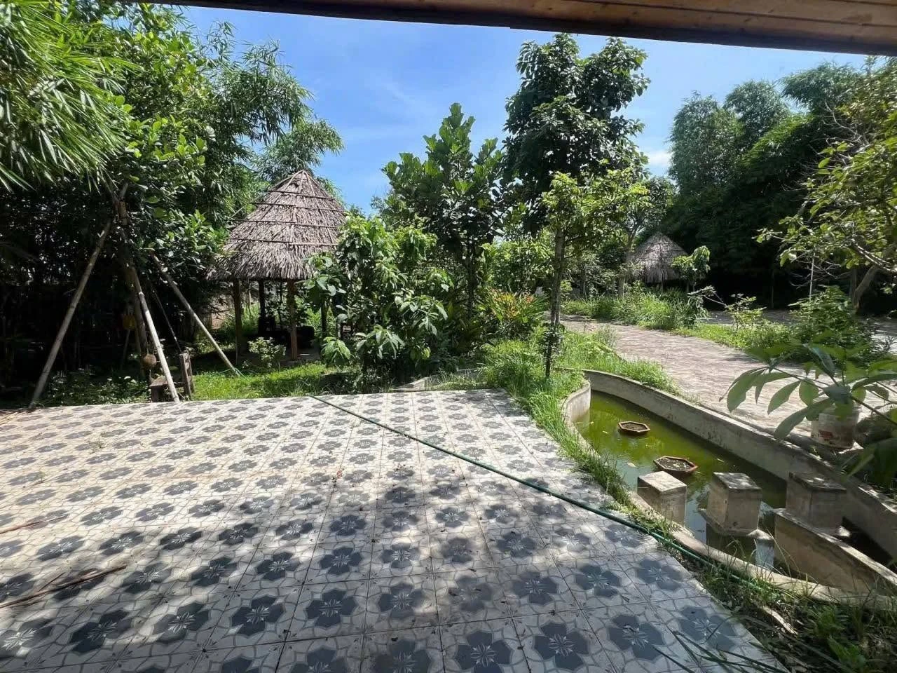 Nhà vườn Song Phương 1.500m² cho thuê 7 triệu/tháng - Ảnh 1
