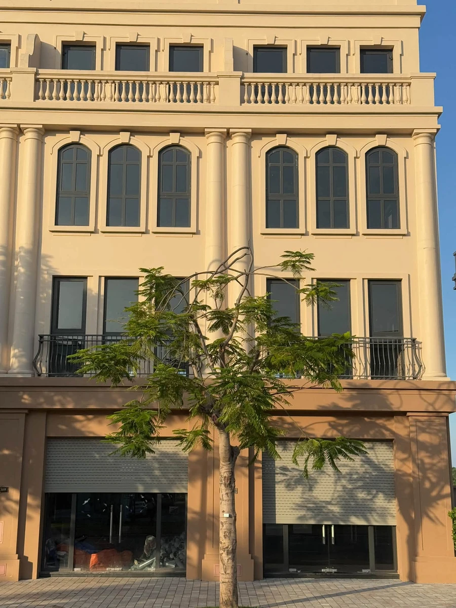Bán shophouse đường Hạnh Phúc 90m2 Hải Phòng 9 tỷ - Ảnh thu nhỏ 5