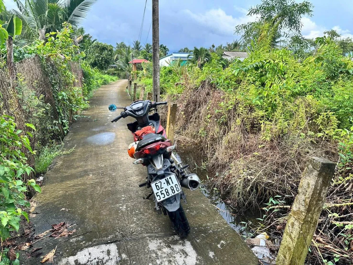 Bán đất 1000m² Ấp 3 Thạnh Đức Nhà Bè, được lên thổ cư - Ảnh thu nhỏ 3