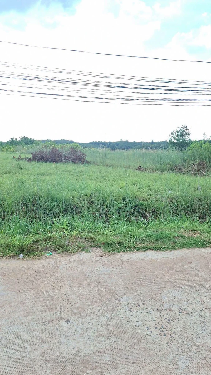 Bán đất 9000m2 mặt tiền 15m Chơn Thành Đồng Nai - Ảnh thu nhỏ 2