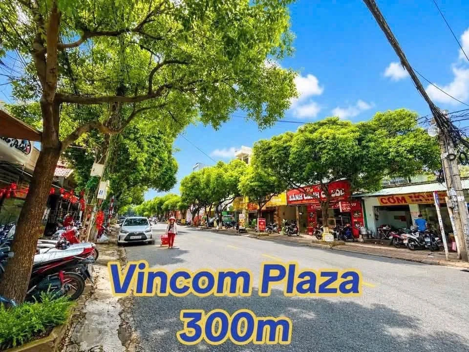 Bán đất biệt thự mini 115.9m2 gần Vincom Biên Hòa 6 tỷ 300 - Ảnh thu nhỏ 2
