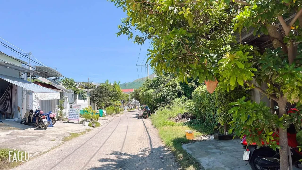 Cho thuê nhà 1PN 100m² Vũ Ngọc Nhạ, Quận 7 - Ảnh thu nhỏ 2