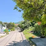 Cho thuê nhà 1PN 100m² Vũ Ngọc Nhạ, Quận 7 - Ảnh thu nhỏ 2