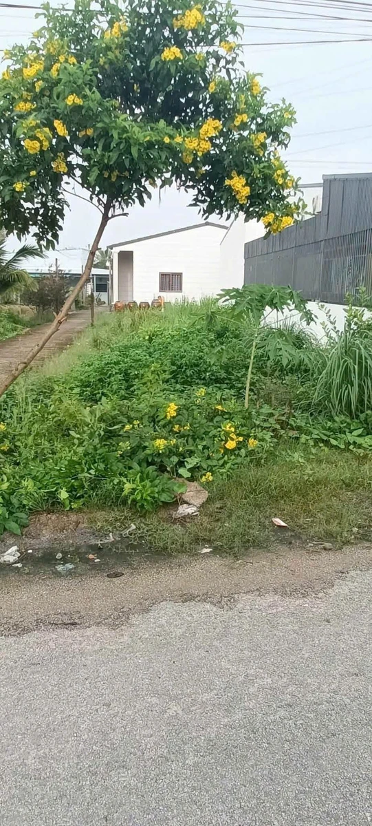 Bán đất lô góc mặt tiền Trương Định 180m2 Rạch Giá - Ảnh thu nhỏ 2