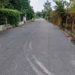 Bán nhà kho 311m2 ngang 5m, 2 mặt tiền, Phú Giáo, Bình Dương - Ảnh thu nhỏ 1
