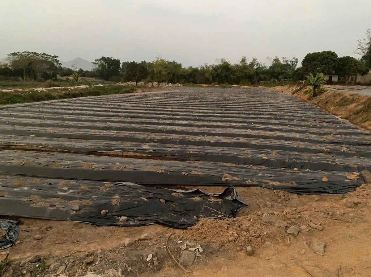 Bán lô đất 2713m2 Đông Triều Quảng Ninh, 1,2 tỷ - Ảnh thu nhỏ 3