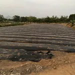 Bán lô đất 2713m2 Đông Triều Quảng Ninh, 1,2 tỷ - Ảnh thu nhỏ 3