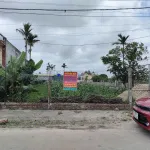 Bán đất Nam Thịnh Nam Cường, Thái Bình. Ô tô tránh, kinh doanh. Nhỉnh 1 tỷ. - Ảnh thu nhỏ 4