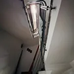 Bán nhà phố 5x16.2m Himlam Tân Hưng 21 tỷ - Ảnh thu nhỏ 5