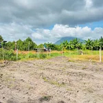 Bán nền đất 182m² mặt tiền Phước Bình, Thủ Đức - Ảnh thu nhỏ 2