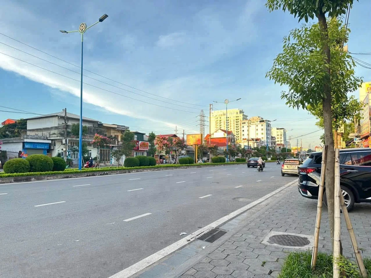 Bán đất mặt đường Nguyễn Lương Bằng 137,9m2 Hải Dương - Ảnh thu nhỏ 3