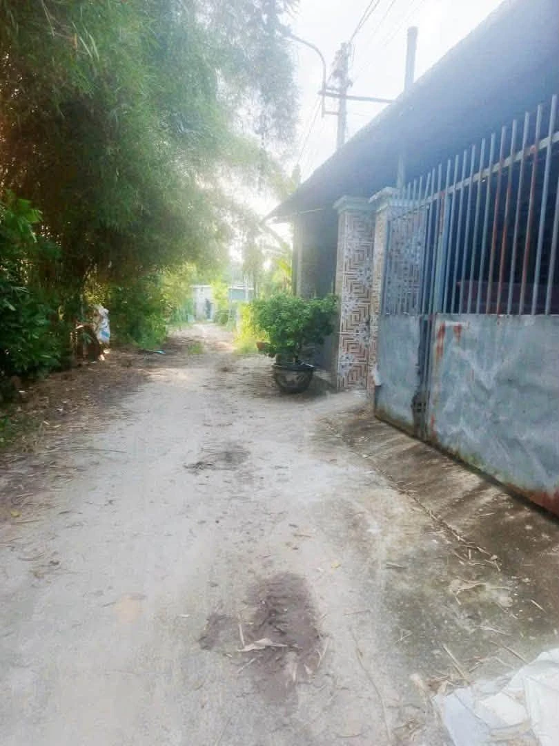 Bán lô đất 850 triệu Phú An Bình Chánh - Ảnh thu nhỏ 2