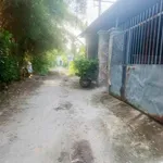 Bán lô đất 850 triệu Phú An Bình Chánh - Ảnh thu nhỏ 2