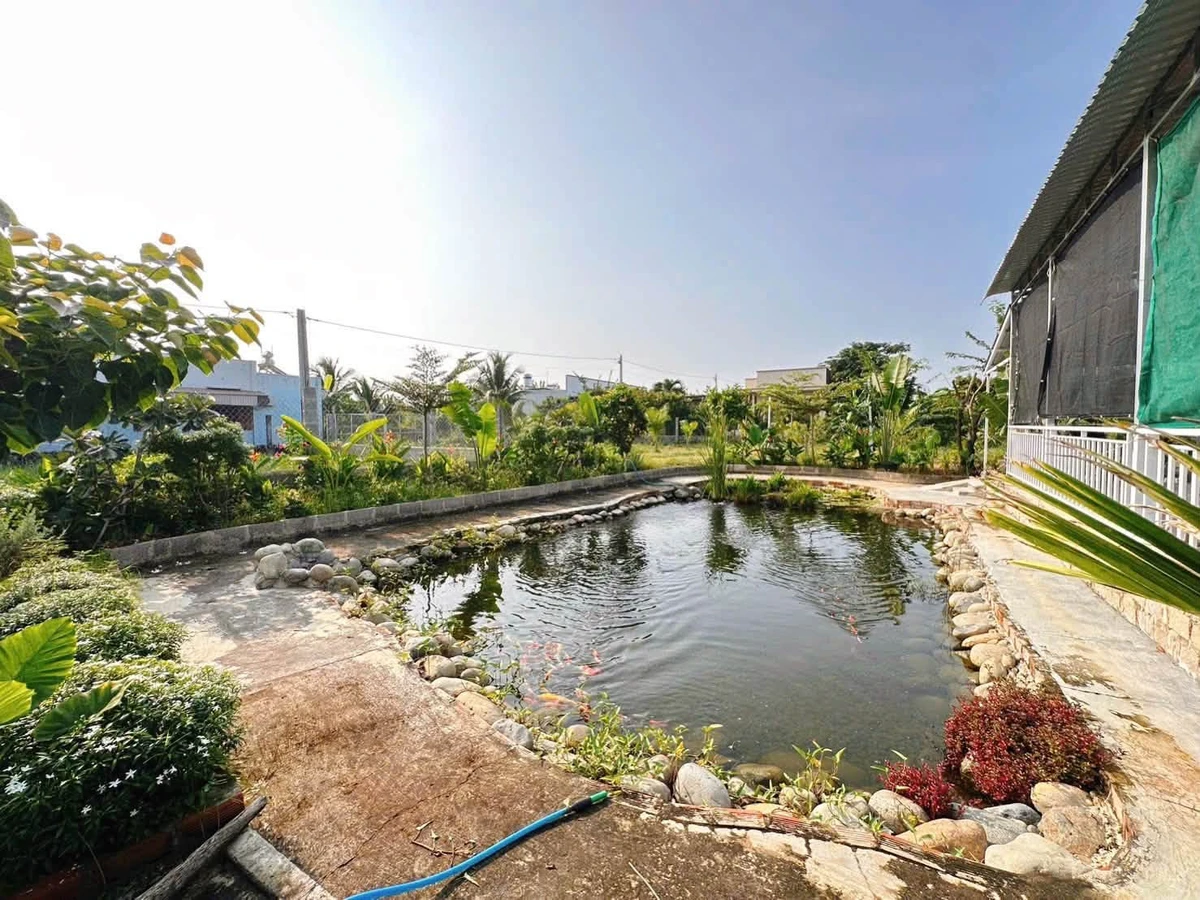 Bán nhà vườn 445m² 2 mặt tiền Bình Thuận - Ảnh thu nhỏ 5