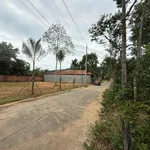 Bán đất 110m2 có thổ cư mặt đường khu Tượng, gần đường lớn. Giá chỉ 1,6 tỷ - Ảnh thu nhỏ 3