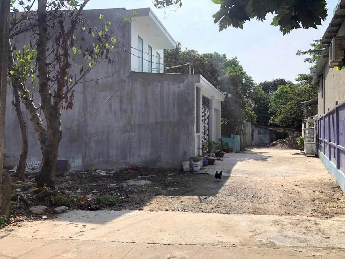 Bán đất 116m² tại Phường Tân Bình Hiệp, Củ Chi - Ảnh thu nhỏ 5