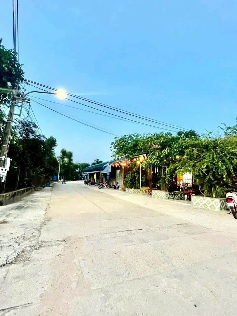 Bán lô đất 10x33 (330m2) Mỹ Phước 2, Bến Cát, Bình Dương giá 3 tỷ 090 triệu - Ảnh thu nhỏ 4