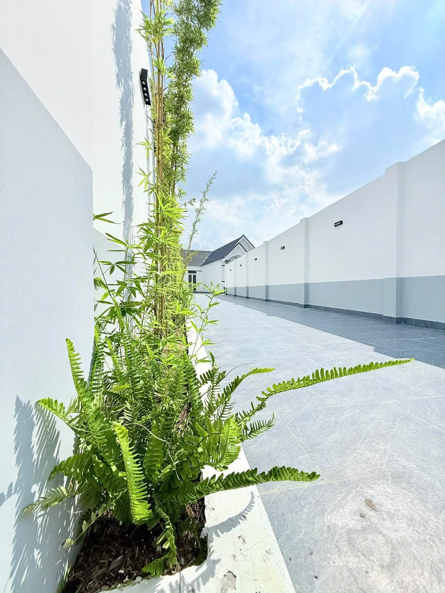 Bán nhà vườn 400m2, 3PN, xã Mỹ Lộc, Cần Giuộc - Ảnh thu nhỏ 3