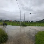 Bán đất góc view đồng lúa Mỹ Thượng, Huế – 81,7m² – 1.9 tỷ - Ảnh thu nhỏ 3