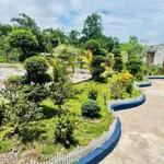 Bán đất vườn An Thái Phú Giáo 1.800m² giá 3,5 tỷ - Ảnh thu nhỏ 5