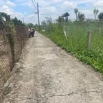 Bán lô đất thổ cư 5x30m giá 450 triệu tại xã Tầm Vu, Tây Ninh - Ảnh thu nhỏ 3