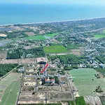 Bán lô đất 178m2 thổ cư trước trường học, khu TDC Kim Liên, Phước Hải - Ảnh thu nhỏ 1
