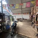 Bán đất 205m2 Trần Đại Nghĩa, Đà Lạt, 6.9 tỷ - Ảnh thu nhỏ 4