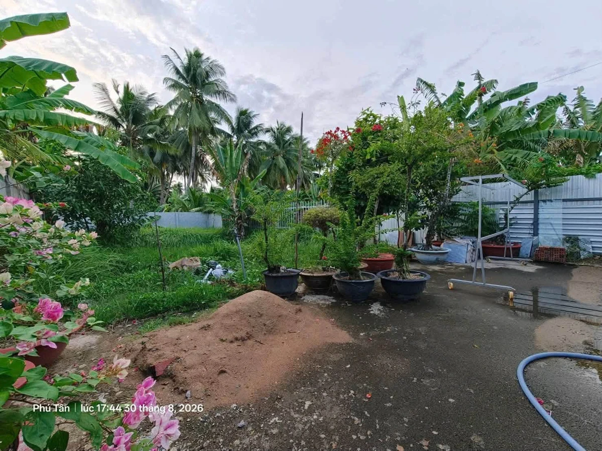 Bán nhà 1 phòng ngủ 760m2 mặt tiền Huỳnh Tấn Phát, Bến Tre - Ảnh thu nhỏ 3