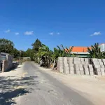Bán đất vườn mặt tiền đường nhựa 359m² tại Tân Hưng, Bà Rịa, giá 2,39 tỷ - Ảnh thu nhỏ 1