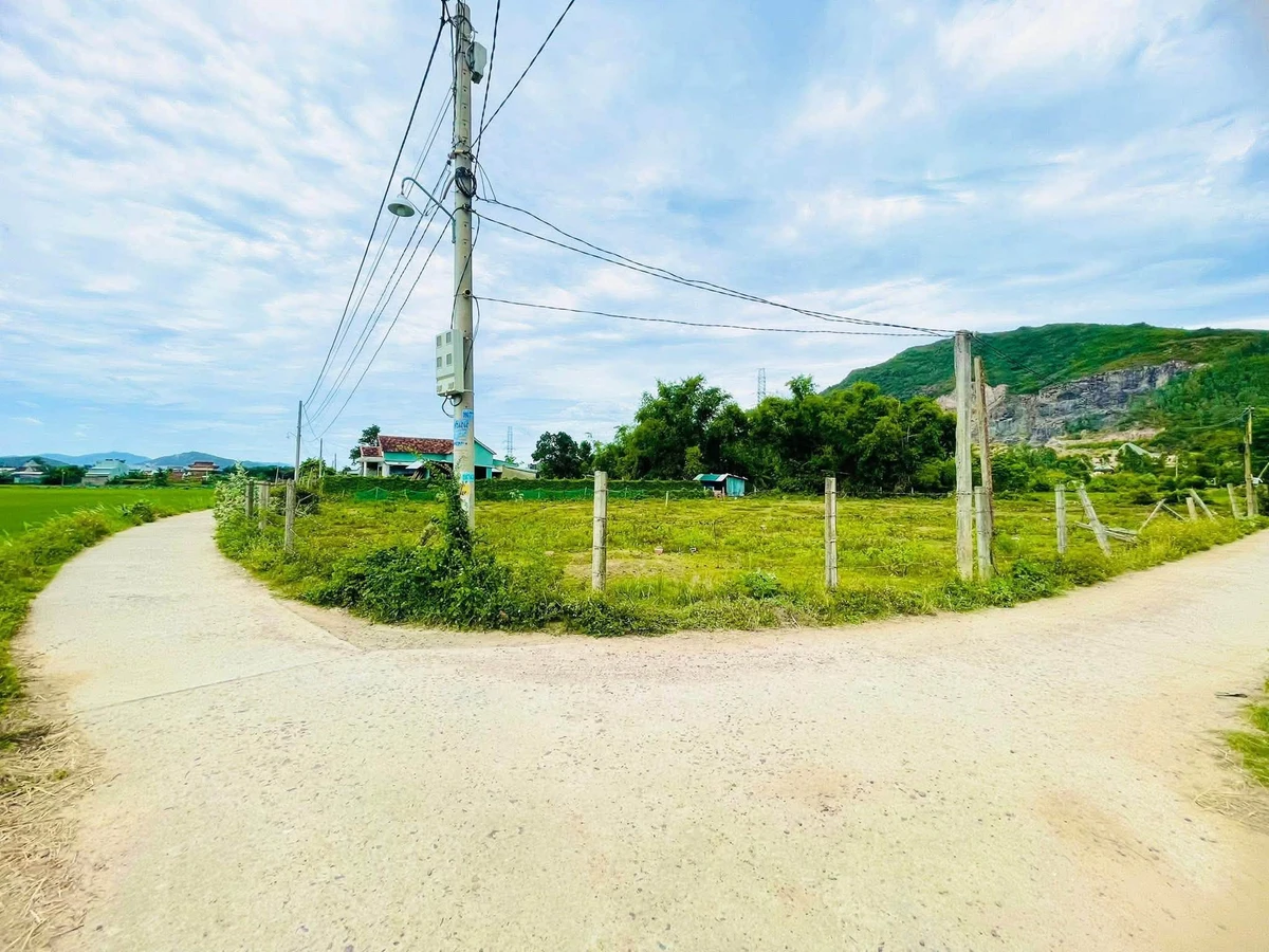Bán lô đất vườn 2500m² Phước Lộc, Tuy Phước, Khánh Hòa - Ảnh 1