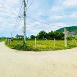 Bán lô đất vườn 2500m² Phước Lộc, Tuy Phước, Khánh Hòa - Ảnh thu nhỏ 1