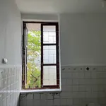 Bán căn hộ 38m² Khu Chuyên gia hơn 200 triệu - Ảnh thu nhỏ 4