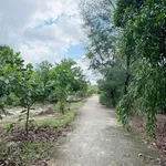 Bán đất Thăng An 800m² mặt tiền 5XX triệu - Ảnh thu nhỏ 2
